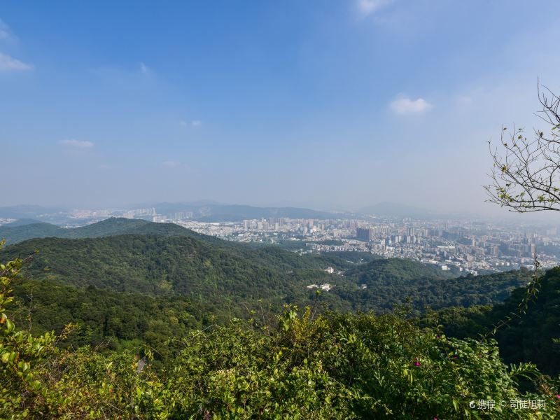 广州摩星岭攻略-摩星岭门票价格多少钱-团购票价预定优惠-景点地址