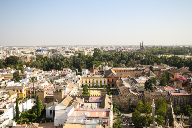 【西班牙】塞维利亚大教堂Seville Cathedral