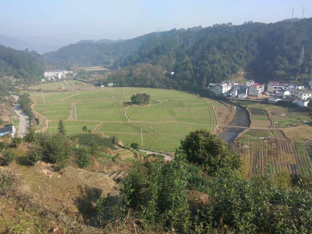 2019俞源太极星象村_旅游攻略_门票_地址_游记点评,武义旅游景点推荐