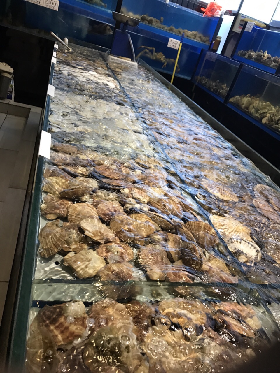 财神捞大连海鲜火锅(昆明街店)