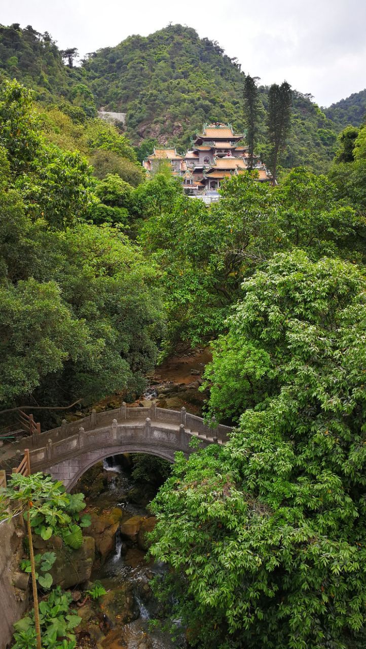 南海湾森林生态园