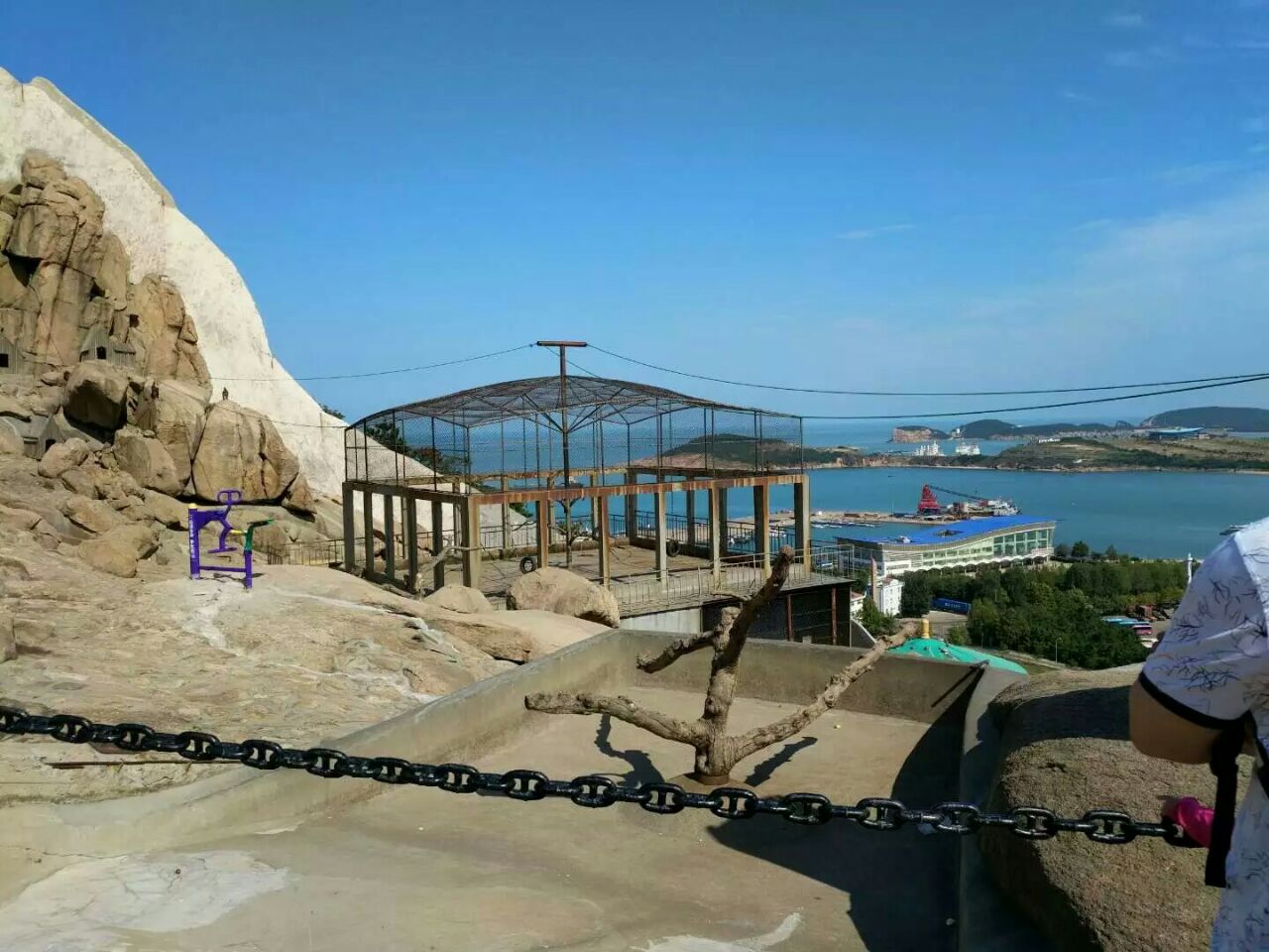 【赠送小礼品】威海神雕山野生动物园包车一日游【包车 导游】