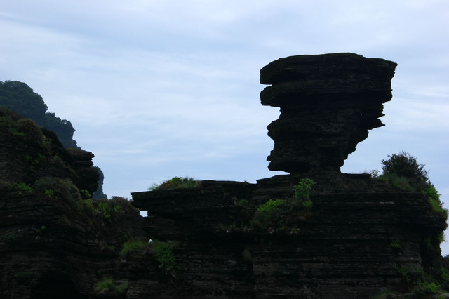 老金顶 100q0f0000007gblt5544_R_640_10000_Q90.jpg?proc=autoorient