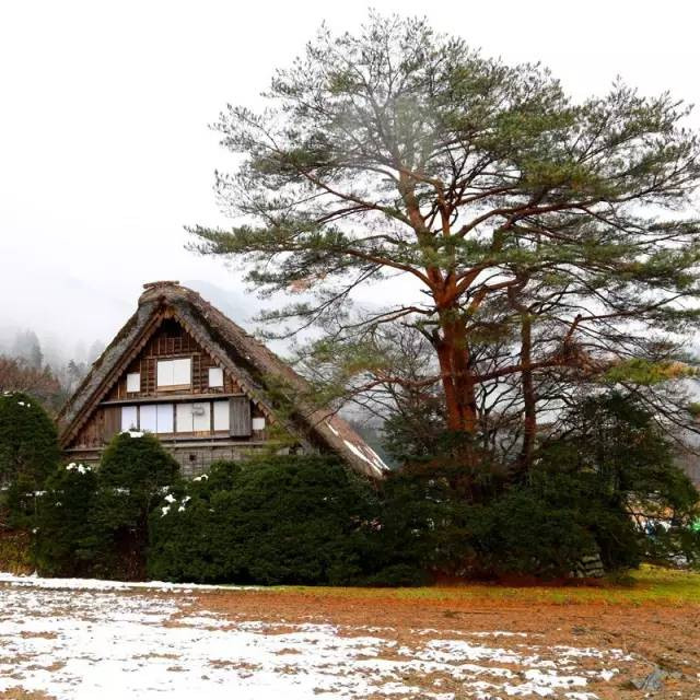 日本高山市白川乡 | 到山中去寻雪,看世界遗产