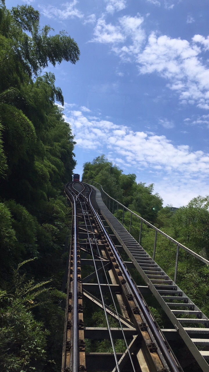 2019南山竹海_旅遊攻略_門票_地址_遊記點評,天目湖旅遊景點推薦 - 去