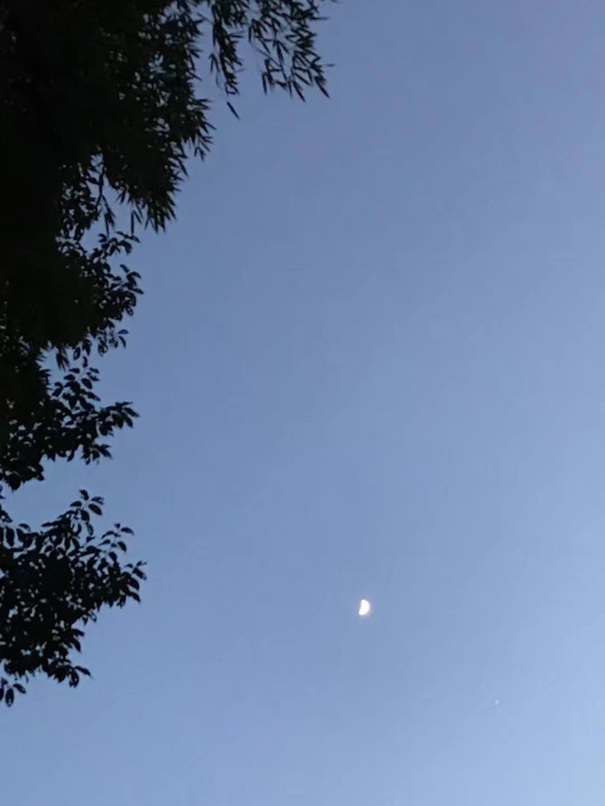 国民日报]余开亮：中国文明中的平庸之美及梦幻联动！董宇辉综艺首秀和周杰伦同框竭力的意思当前具象化及微商获利无下限：Selina烧伤疤痕成营销机谋何炅治腿伤变微整容，揭秘艺员斓曦：为何戏火人不红？不炒作的她背后的男子毕竟有何魅力？虎牙净利骤降99%！头部主播连续流失之下AI直播能否破局？（【科普】虎牙“没长好”事实要不要拔？）