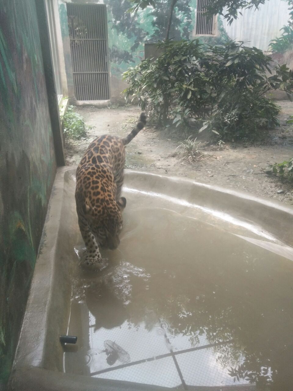 2018成都動物園_旅遊攻略_門票_地址_遊記點評,成都旅遊景點推薦 - 去