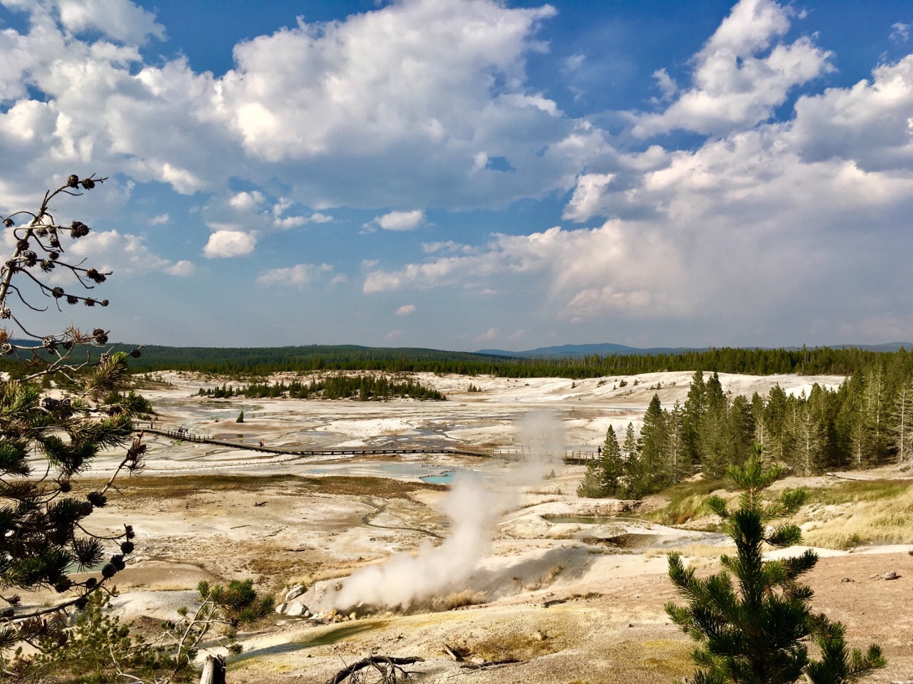 诺里斯间歇泉盆地
