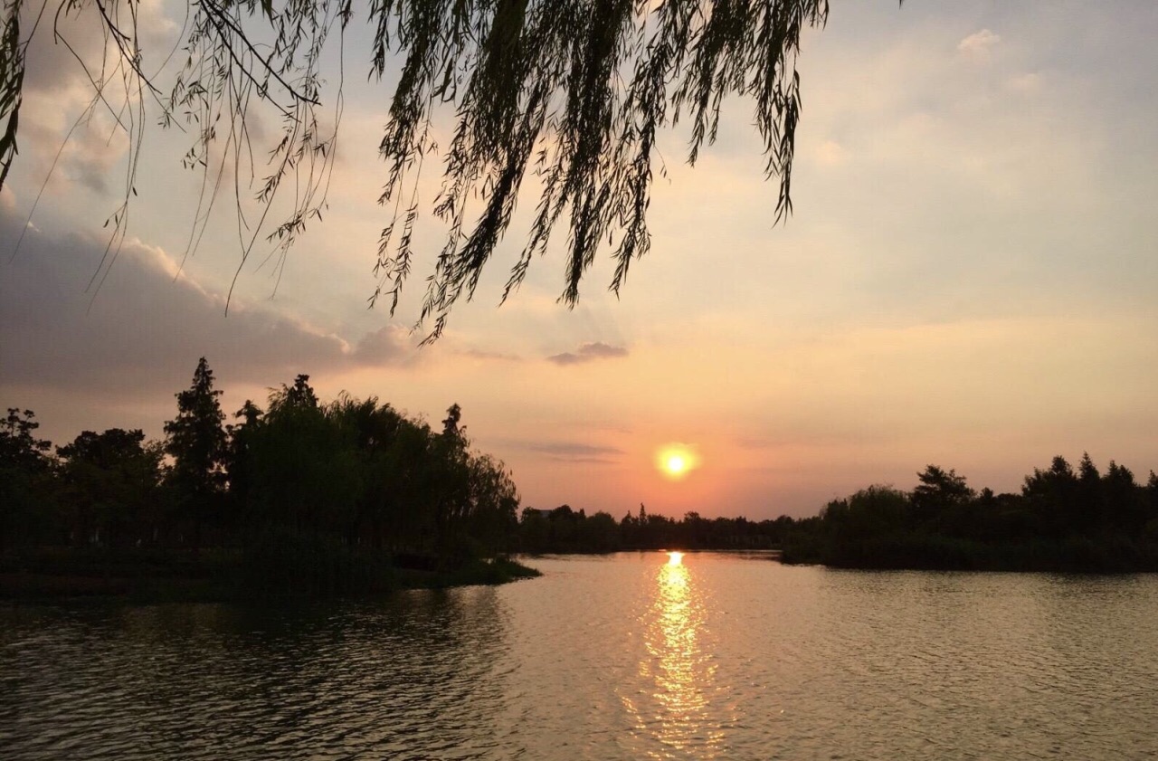 【湖边夕阳摄影图片】湖边生态摄影_银色月光_太平洋电脑网摄影部落