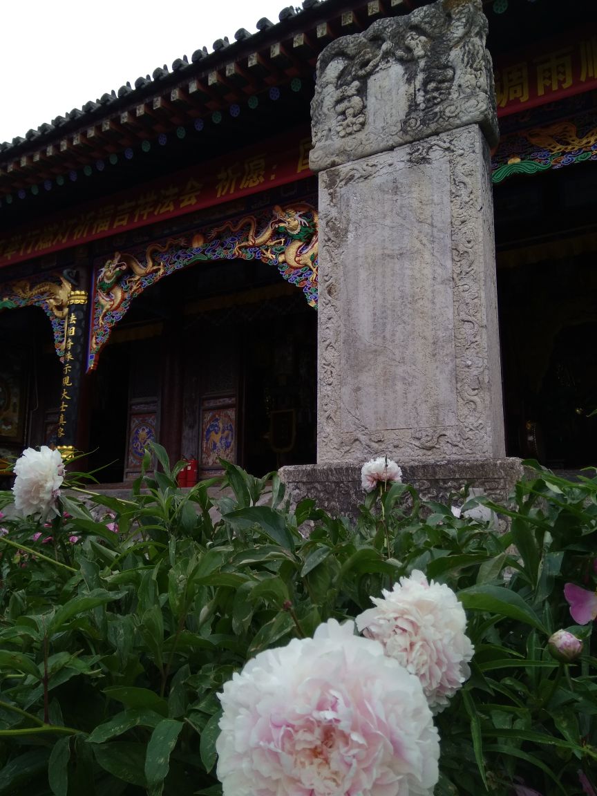 上海镇海寺图片