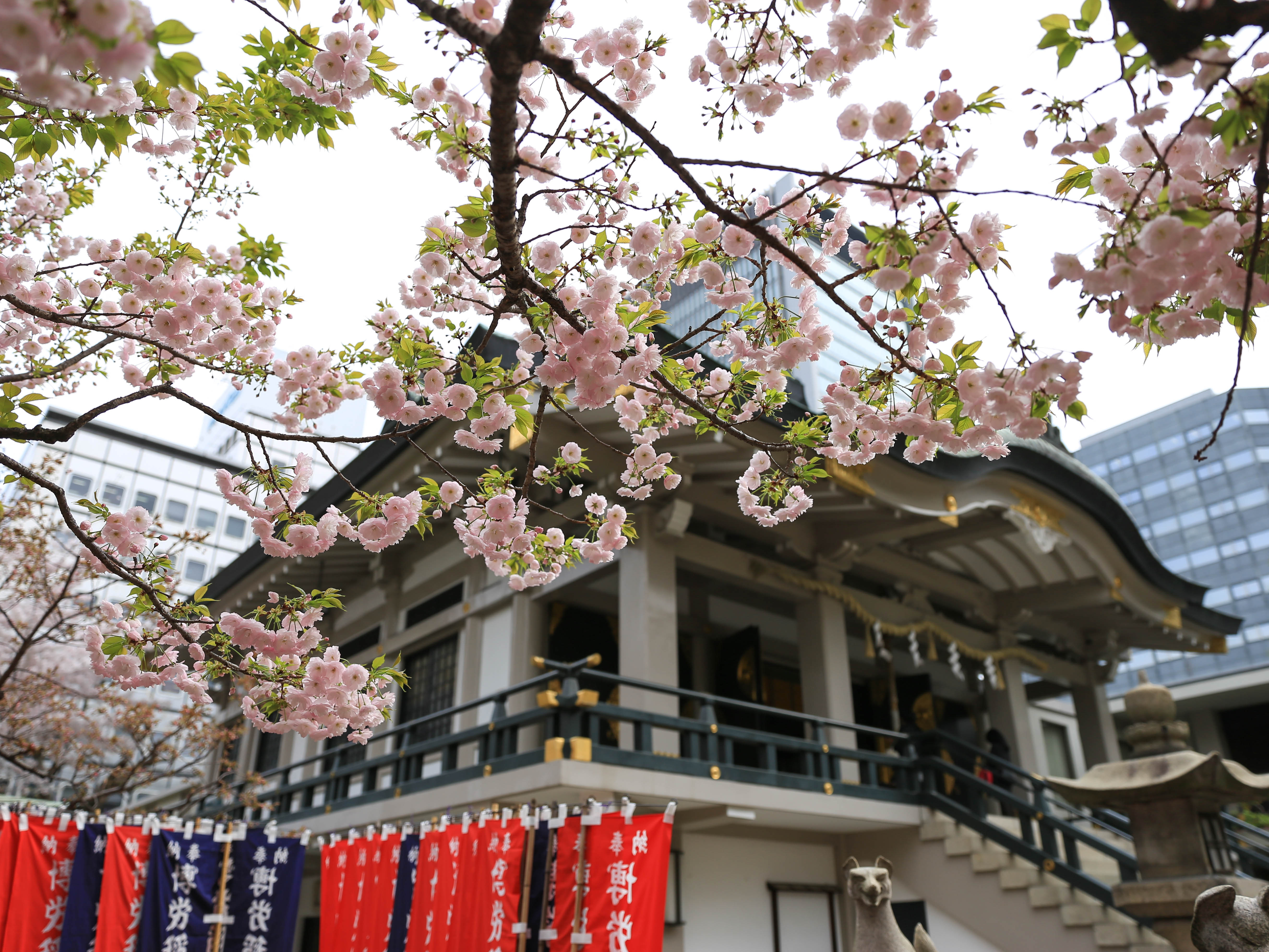 難波神社旅遊攻略指南 難波神社評論 難波神社附近推薦 Trip Com