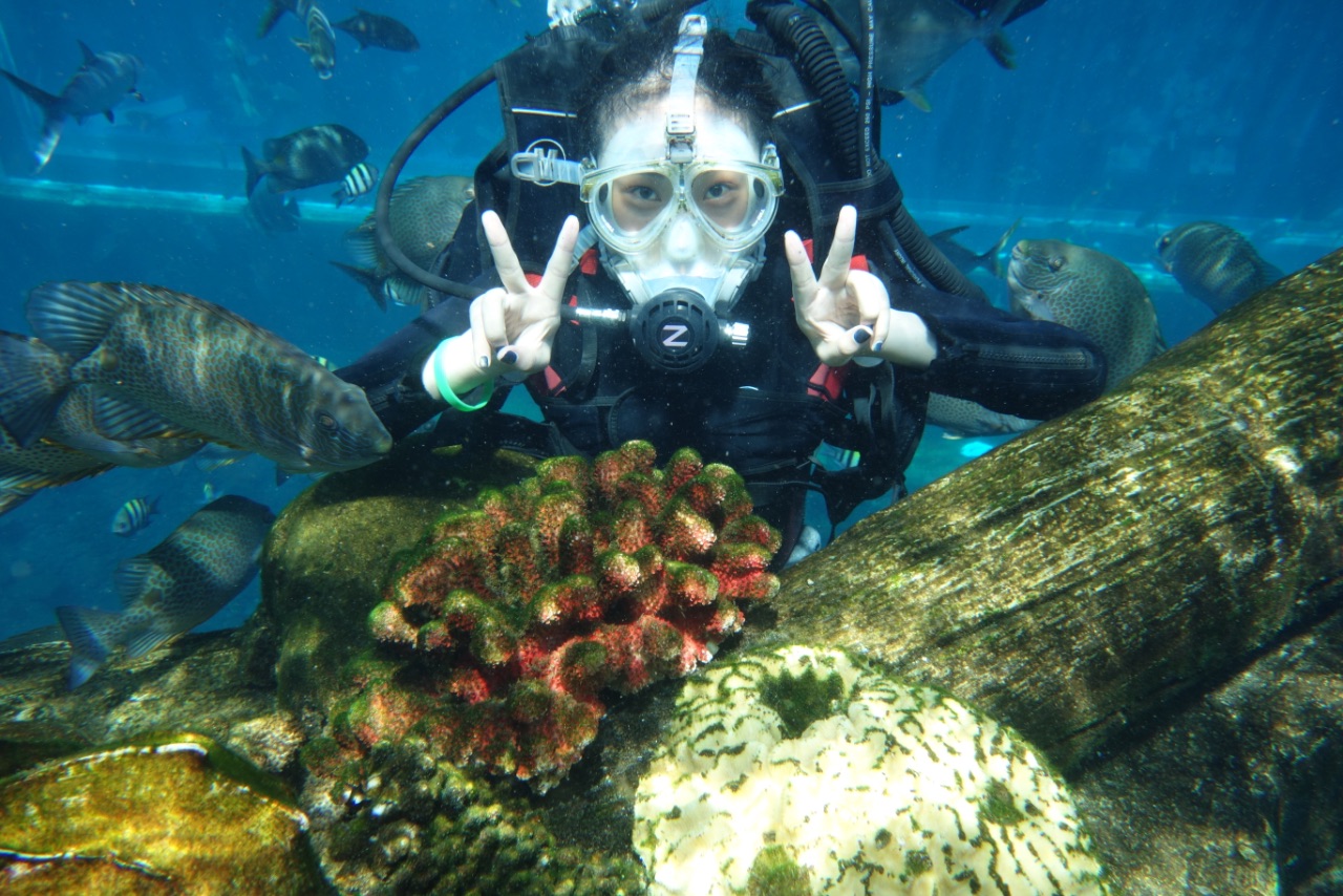 特别喜欢亚龙湾潜水,感谢38号教练