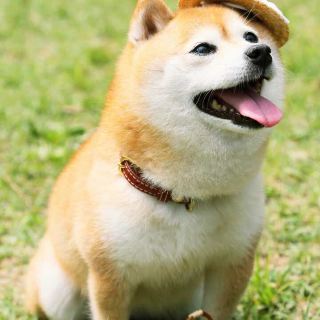 榆林白草寺攻略-白草寺门票价格多少钱-团购票价预定优惠-景点地址