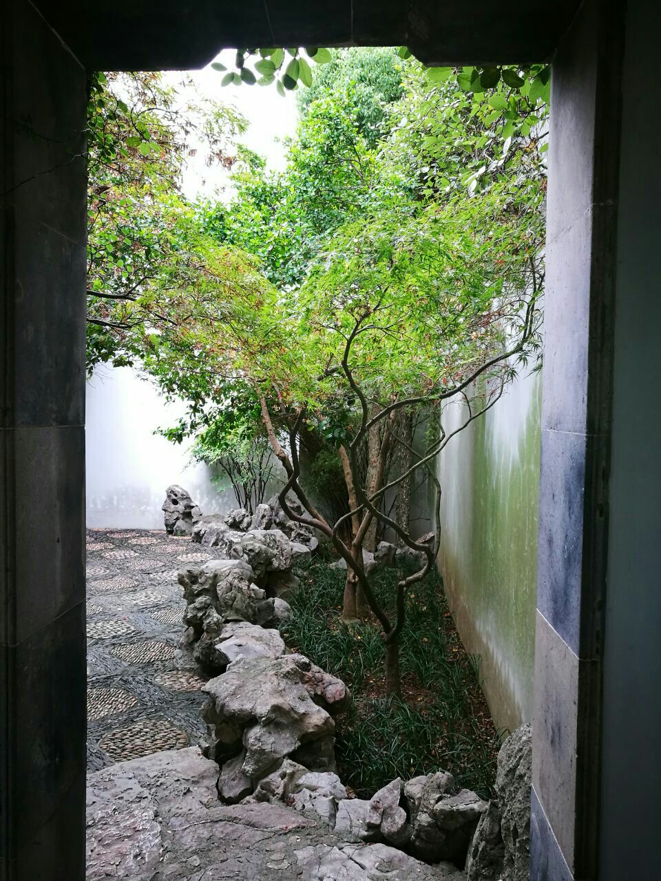 2019严家花园游玩攻略,木渎镇山塘街王家桥畔的羡园. 【去哪儿攻略】