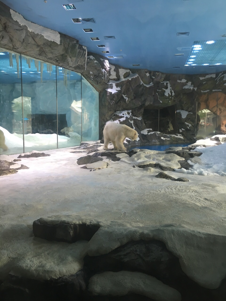 北极熊馆
