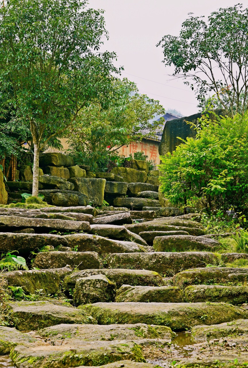 2020鼓鸣寨-旅游攻略-门票-地址-问答-游记点评,上林旅游旅游景点推荐