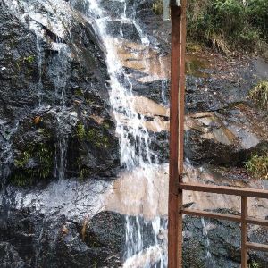 2019野山谷生態樂園_旅遊攻略_門票_地址_遊記點評,廈門旅遊景點推薦