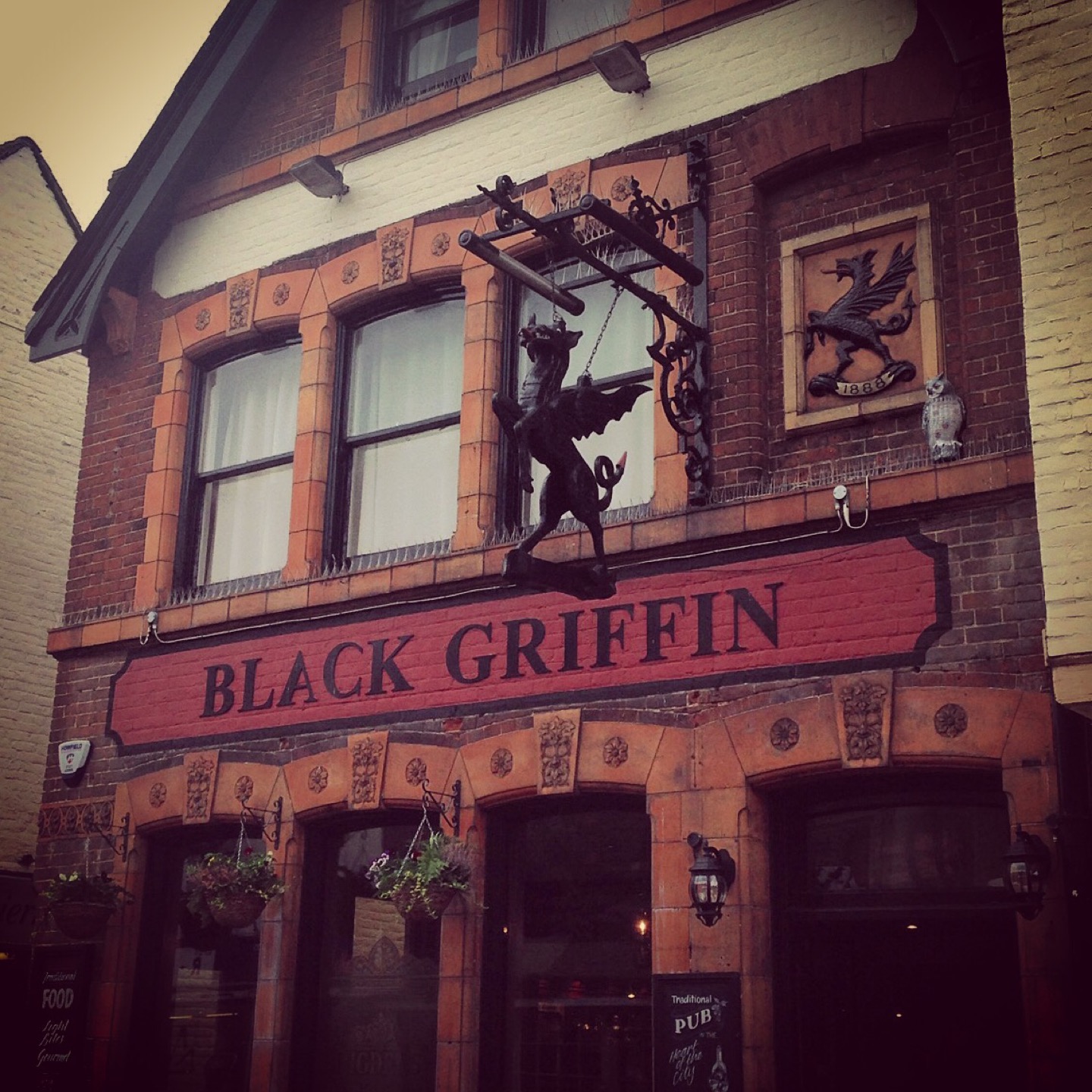 the black griffin