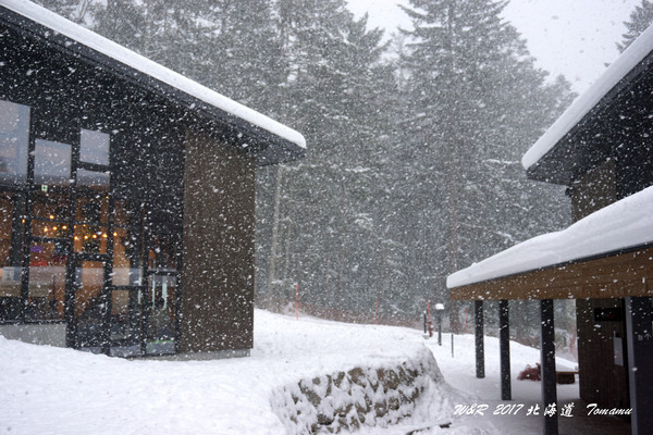 17年冬天 去北海道看雪 泡温泉 札幌 小樽 星野 登别 洞爷湖 小樽游记攻略 携程攻略