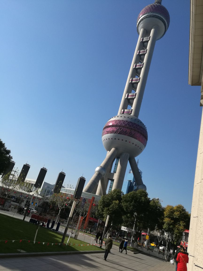 上海不收费的旅游景点图片