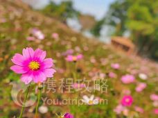 【携程攻略】番禺区御品湘木桶饭附近景点推荐