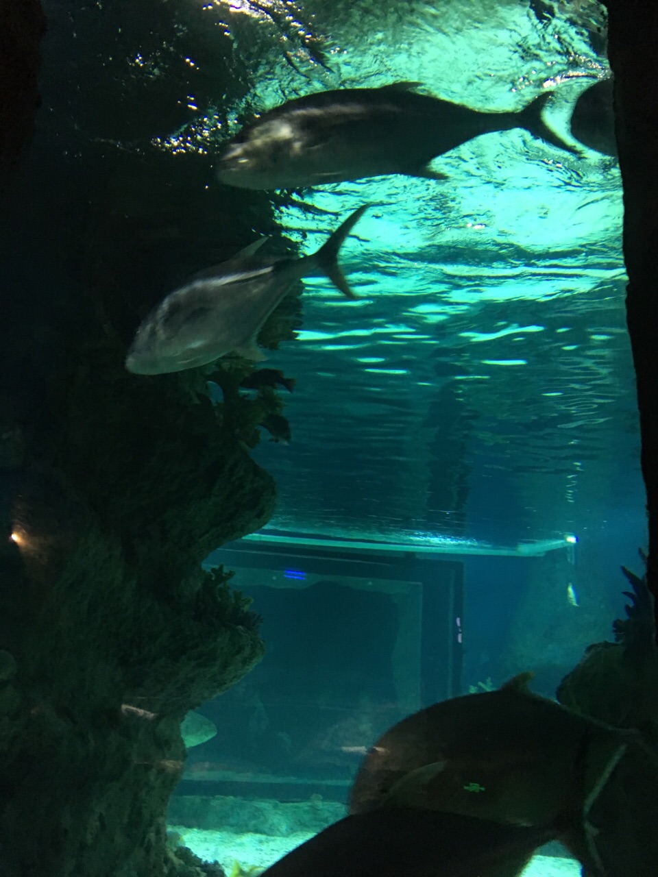 贵安海洋探秘世界