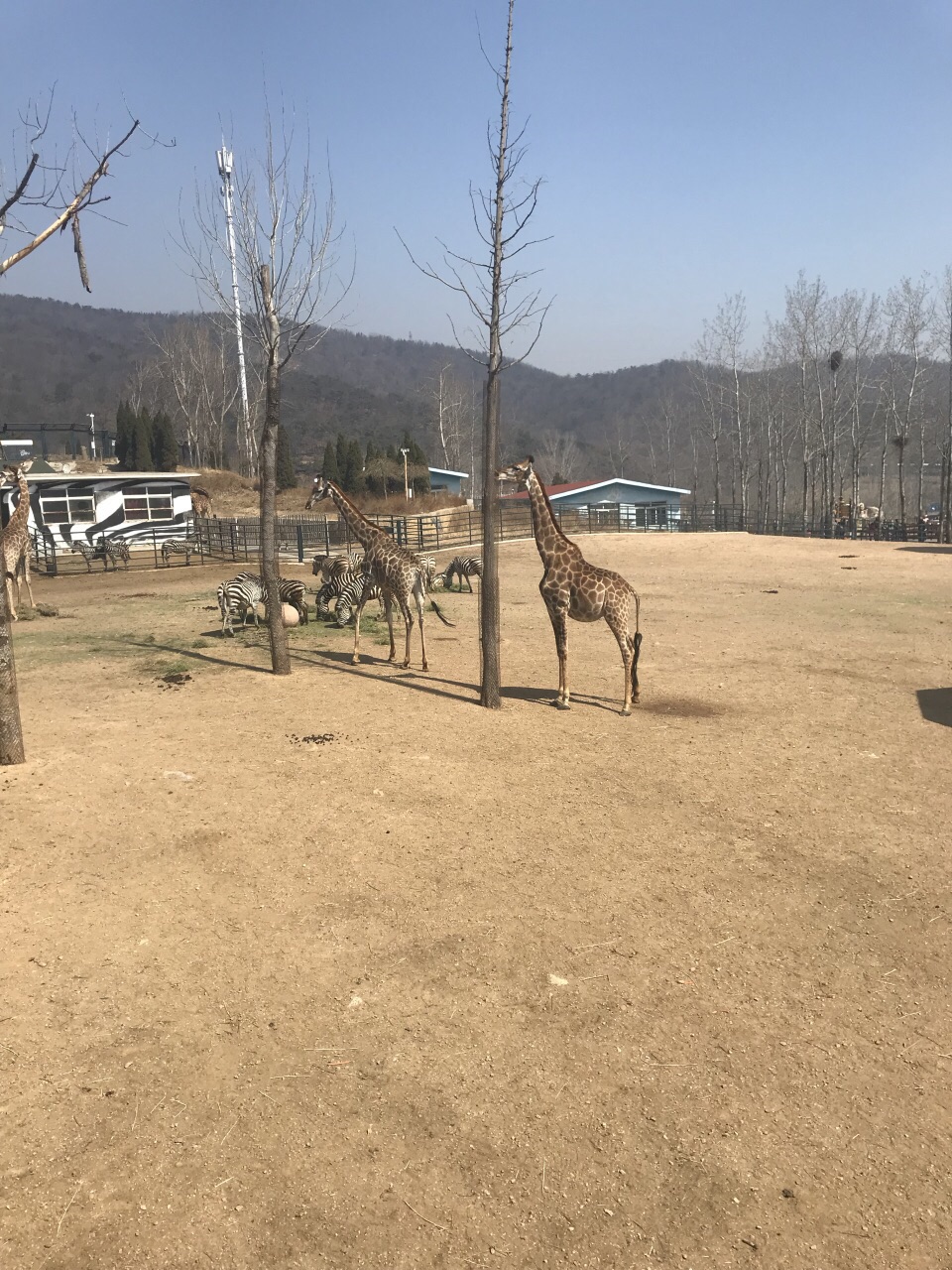 大連森林動物園