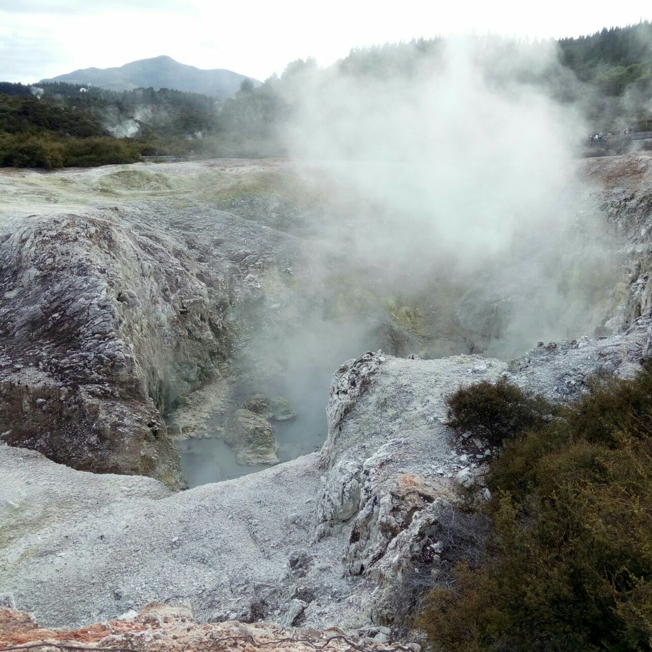 新西兰罗托鲁瓦的地热活动高清摄影大图-千库网
