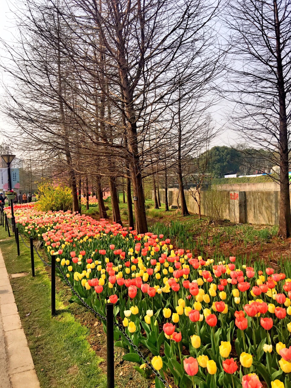 上海植物園