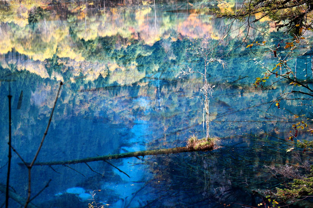 ５天自由行走人间仙镜九寨沟-金秋之旅