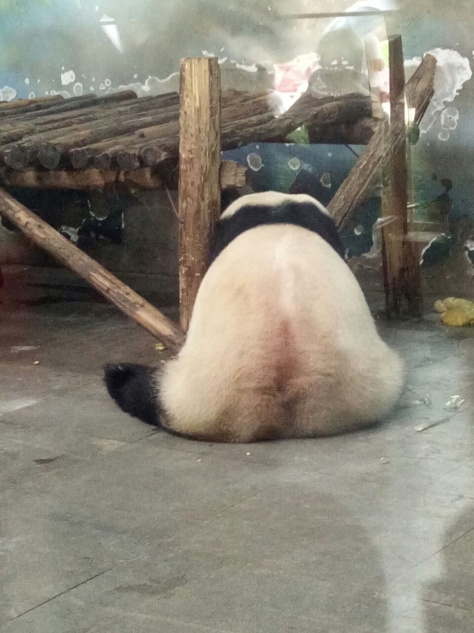 动物园背面靠山