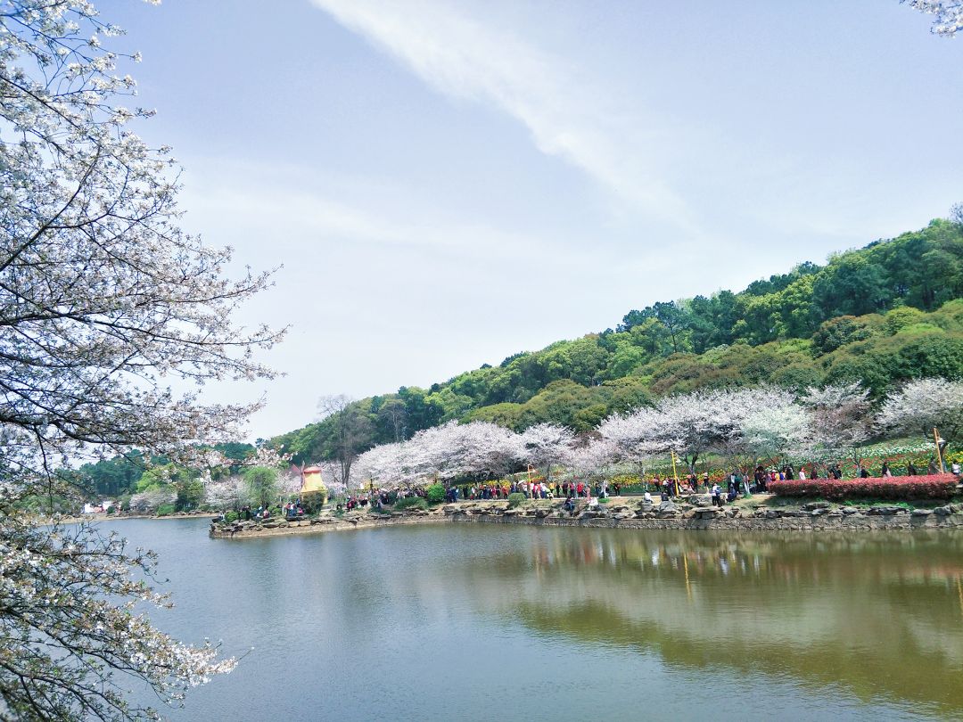 2020湖南省森林植物园-旅游攻略-门票-地址-问答-游记点评,长沙旅游