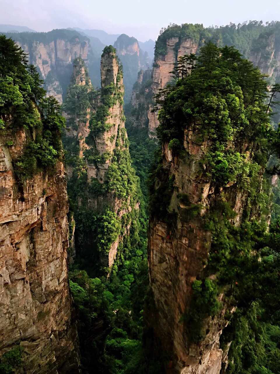 个人认为去张家界游玩千万不要跟团,旅行社的太坑人了.景色很美