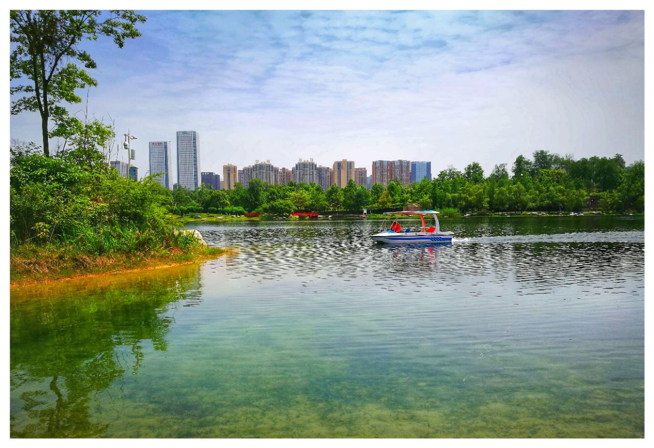 2024成都锦城公园游玩攻略,移舟两岸柳青拂、春风吹入锦...【去哪儿攻略】