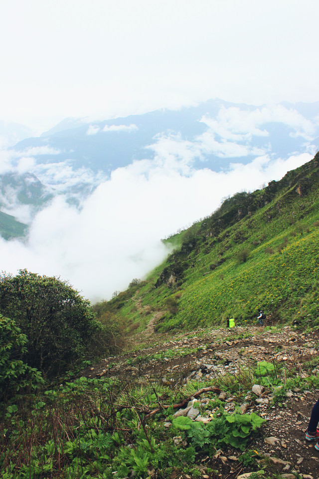 彩虹歌∣九顶山徒步二日行记