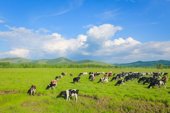 100q0u000000j2ke0D07C_R_671_10000_Q90.jpg?proc=autoorient