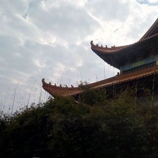 横山殿   分 1条点评 景点 历史建筑 建筑人文 距景点7.5km