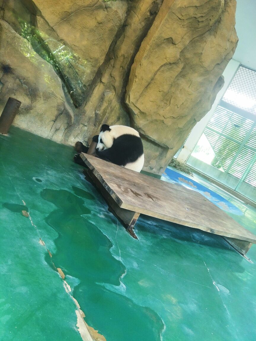 成都動物園