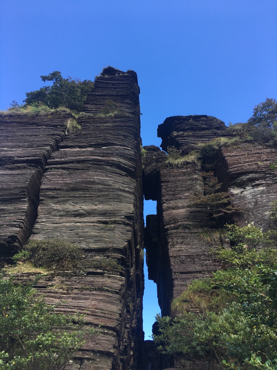 【攜程攻略】銅仁梵淨山景點,一大早進去的,不怎麼排隊,天氣很好,景很