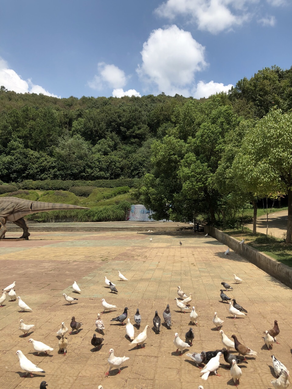 武漢九峰森林動物園好玩嗎,武漢九峰森林動物園景點怎麼樣_點評_評價