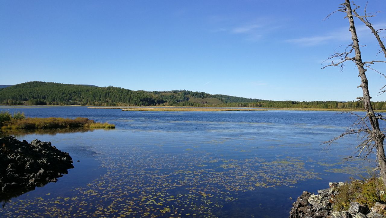 阿爾山杜鵑湖好玩嗎,阿爾山杜鵑湖景點怎麼樣_點評_評價【攜程攻略】