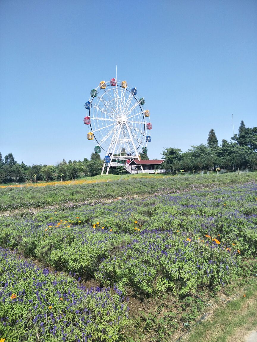 佛山夢裡水鄉百花園攻略,佛山夢裡水鄉百花園門票/遊玩攻略/地址/圖片