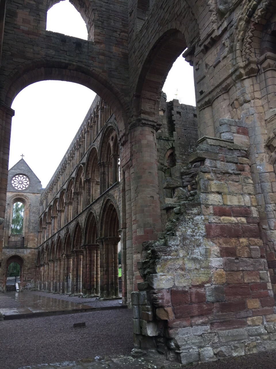 苏格兰杰德堡修道院图片