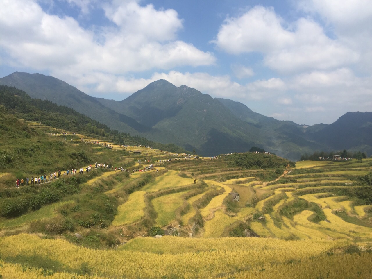 雲和梯田景區旅遊景點攻略圖