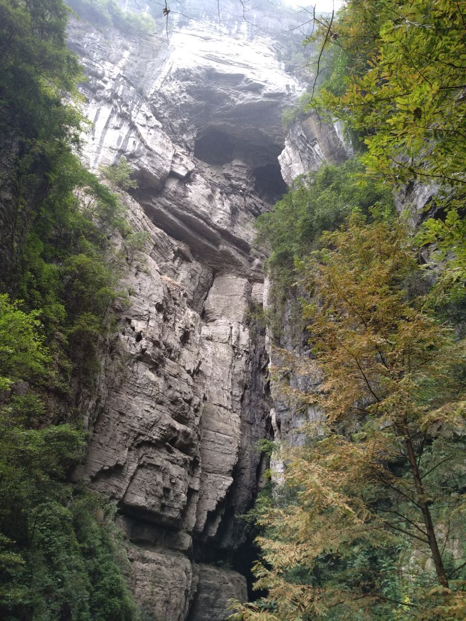 2019武隆天生三橋_旅遊攻略_門票_地址_遊記點評,武隆旅遊景點推薦