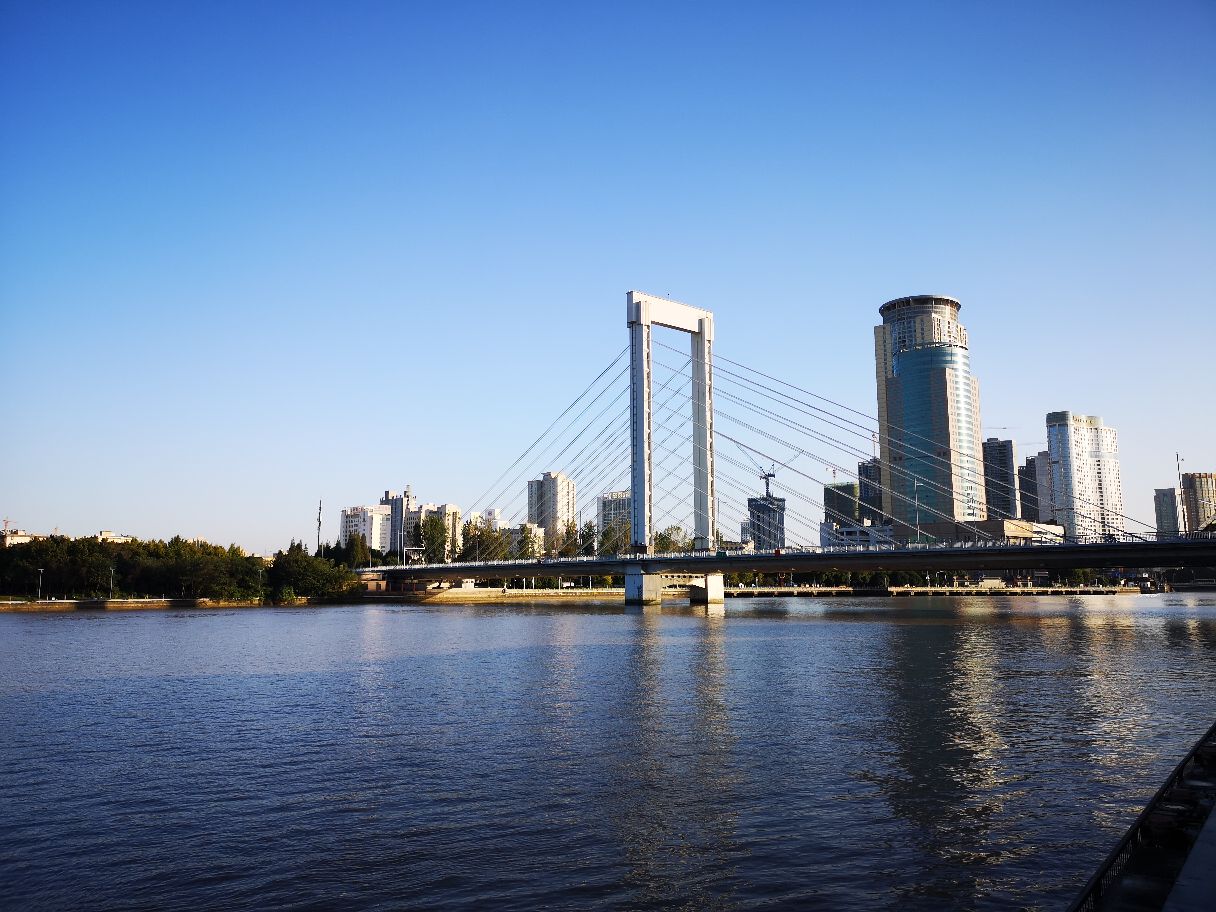 2020卢浦大桥-旅游攻略-门票-地址-问答-游记点评，上海旅游旅游景点推荐-去哪儿攻略