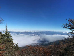 富士山富士河口湖食堂攻略 富士河口湖食堂套餐 特色菜品推荐 菜单 人均消费 电话 地址 菜系 点评 营业时间 餐厅介绍 哪个菜好吃 携程美食 富士山富士河口湖食堂攻略 富士河口湖食堂套餐 特色菜品推荐 菜单 人均消费 电话 地址 菜系 点评 营业时间 餐厅介绍 哪个菜好吃 携程美食