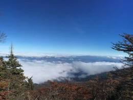 富士山富士河口湖食堂攻略 富士河口湖食堂套餐 特色菜品推荐 菜单 人均消费 电话 地址 菜系 点评 营业时间 餐厅介绍 哪个菜好吃 携程美食