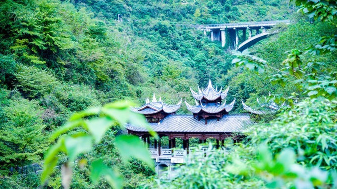 100q0y000000m2mj96861_R_671_10000_Q90.jpg?proc=autoorient