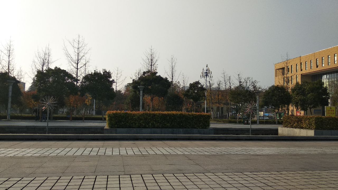 宿州三角洲生态公园攻略-三角洲生态公园门票价格多少钱-团购票价预定